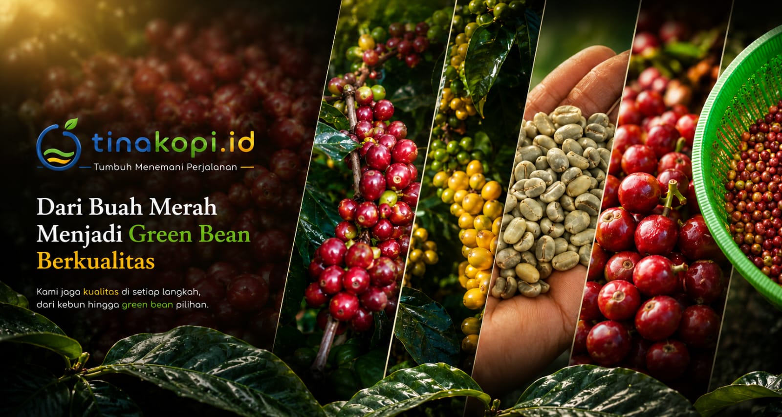 Proses Kopi Indonesia